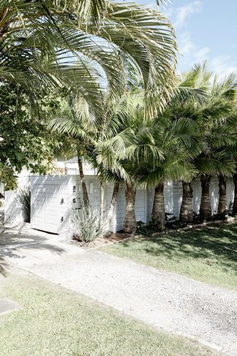 Entrance to The Chalet lined with palm trees, Byron Beach Abodes