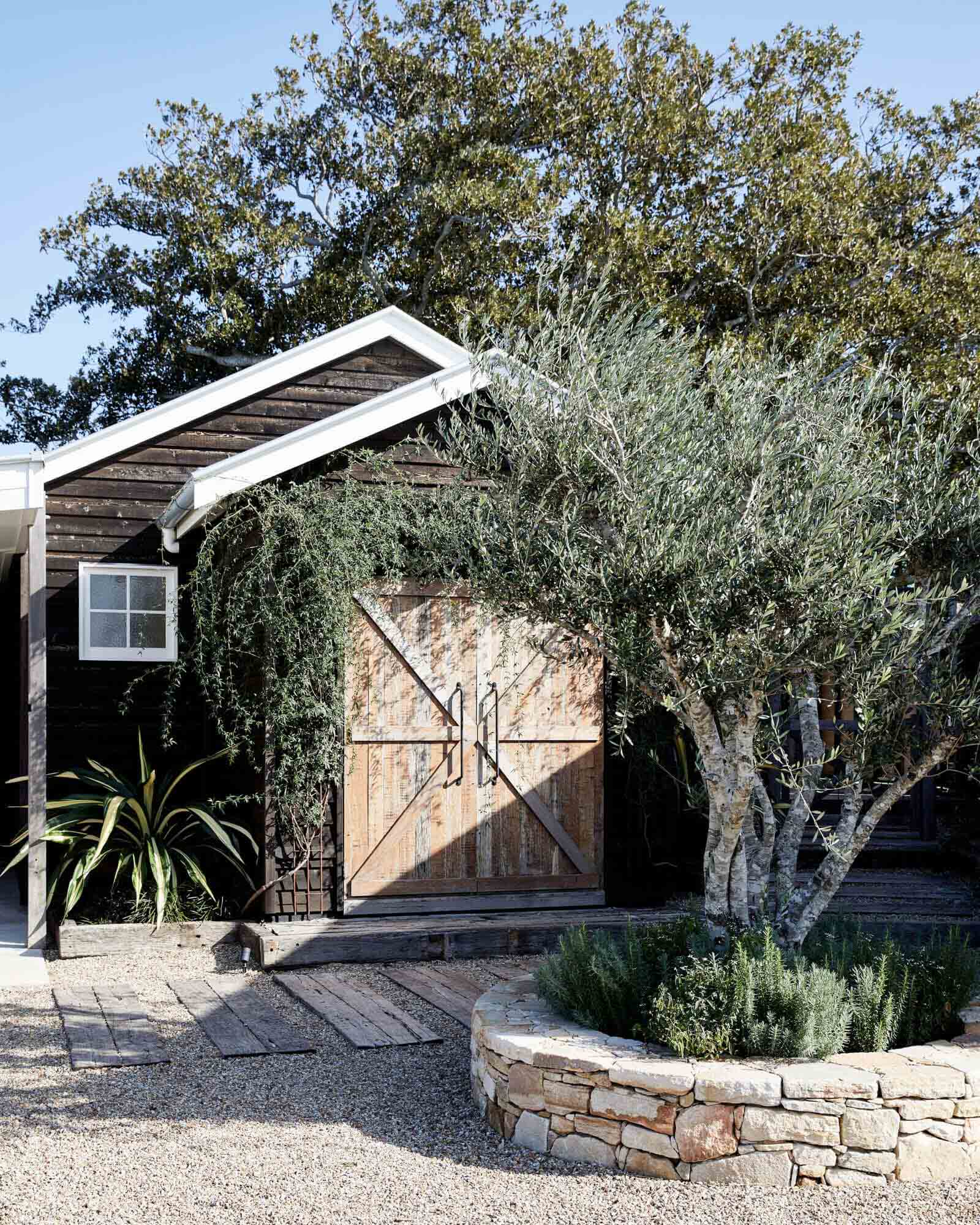 Exterior of the Le Viti Barn Newrybar accommodation with black weatherboards, rustic timber barn doors and established olive tree