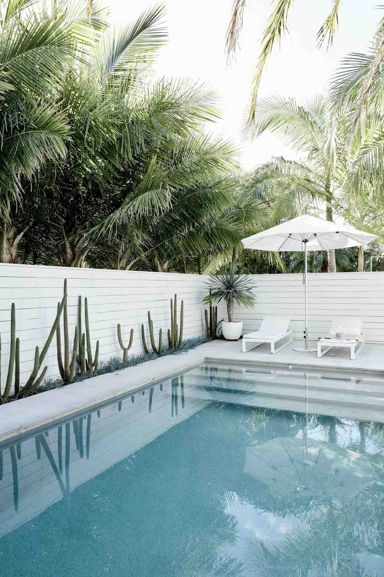 Pool at The Chalet, Byron Beach Abodes with cactus garden, panelled pool fence, white pool umbrella and daybeds