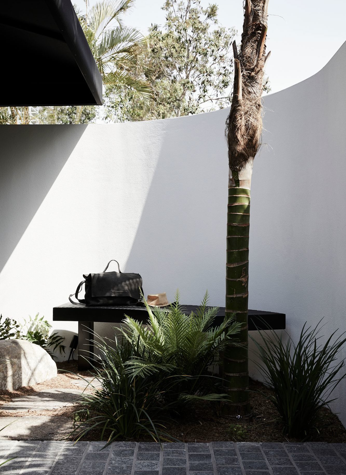 Courtyard with sun streaming through palm trees at The Bower Studio